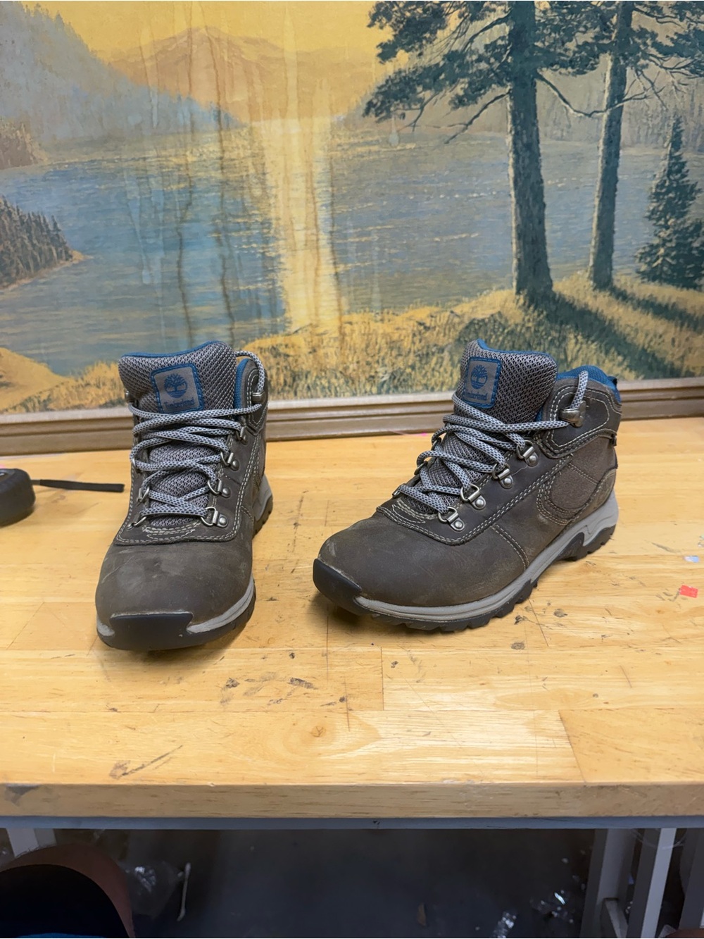Timberland Women’s Gray blue Hiking Boots, timber dry, size 5.5
